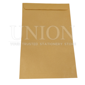Brown Envelope 12"×16"